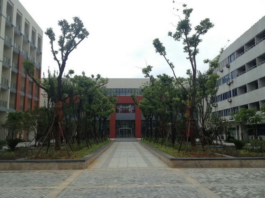 mmexport1439189770205.jpg